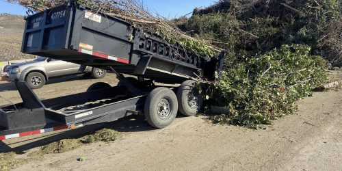 Tree Removal, Tree Cutting, Tree Service, Free Estimates Tree Removal, Tree Cutting, Tree Service, Free Estimates